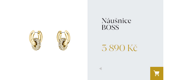 Náušnice Boss