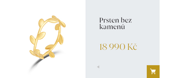 Prsten bez kamenů 18 990 Kč