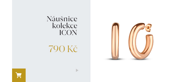 Náušnice kolekce ICON 790 Kč